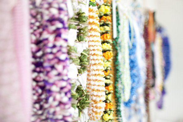 ハワイアンフェスティバル2011